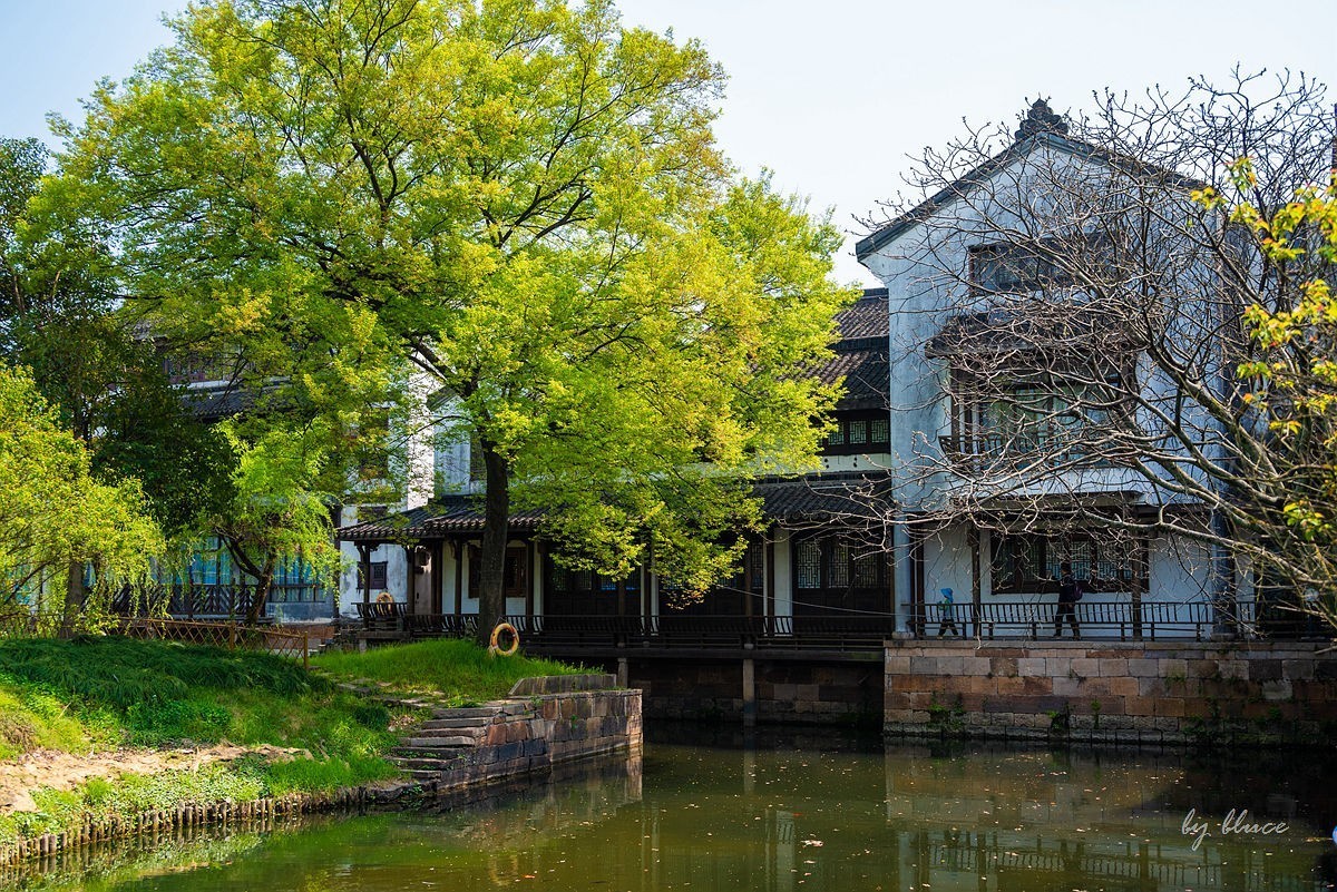 嘉兴梅花洲（二）