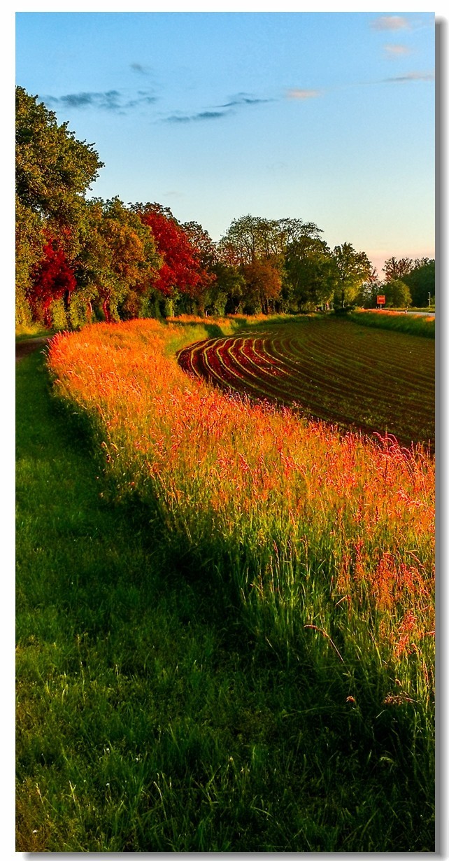 晚霞原野（南德）
