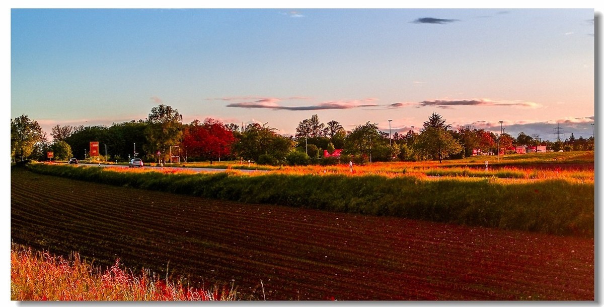晚霞原野（南德）