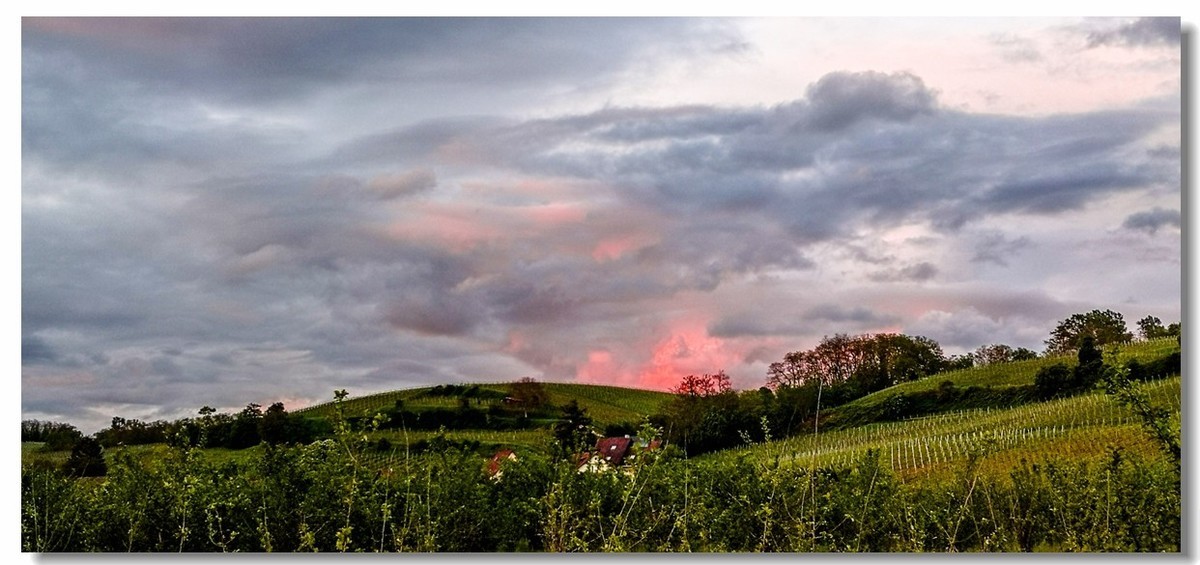 晚霞原野（南德）