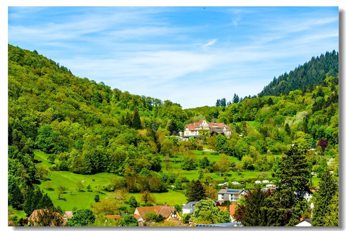 泉城--“Badenweiler”（南德）