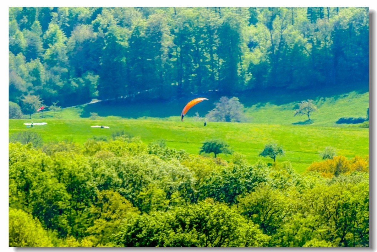 泉城--“Badenweiler”（南德）