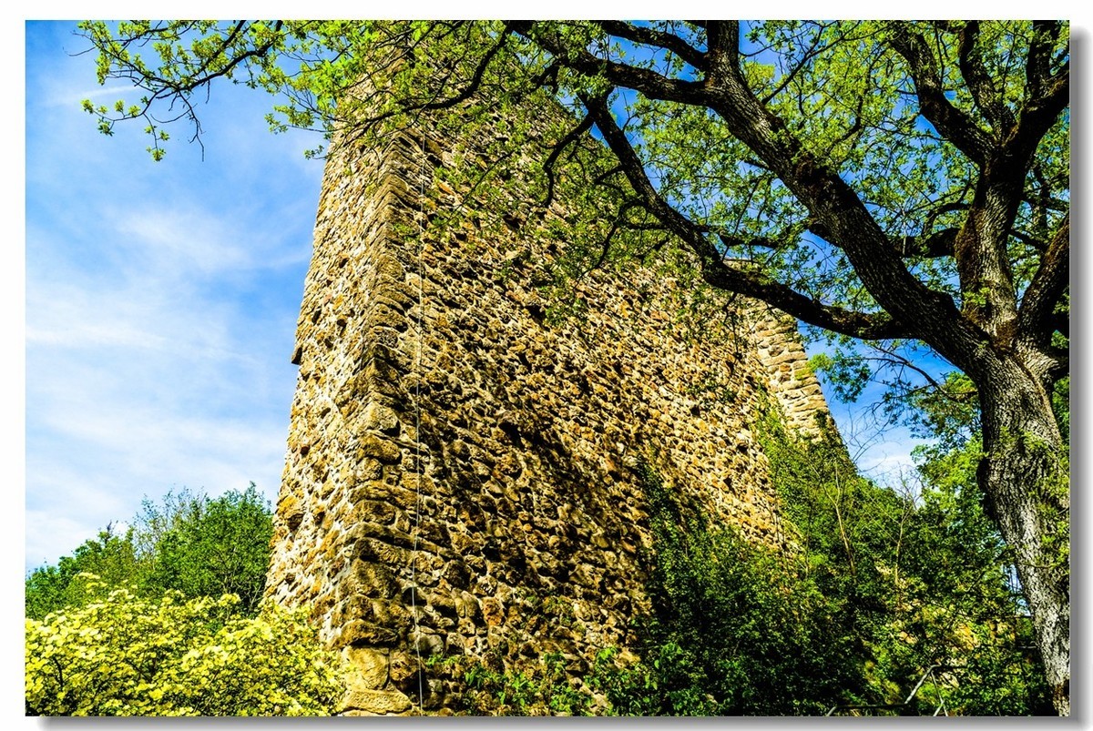 泉城--“Badenweiler”（南德）