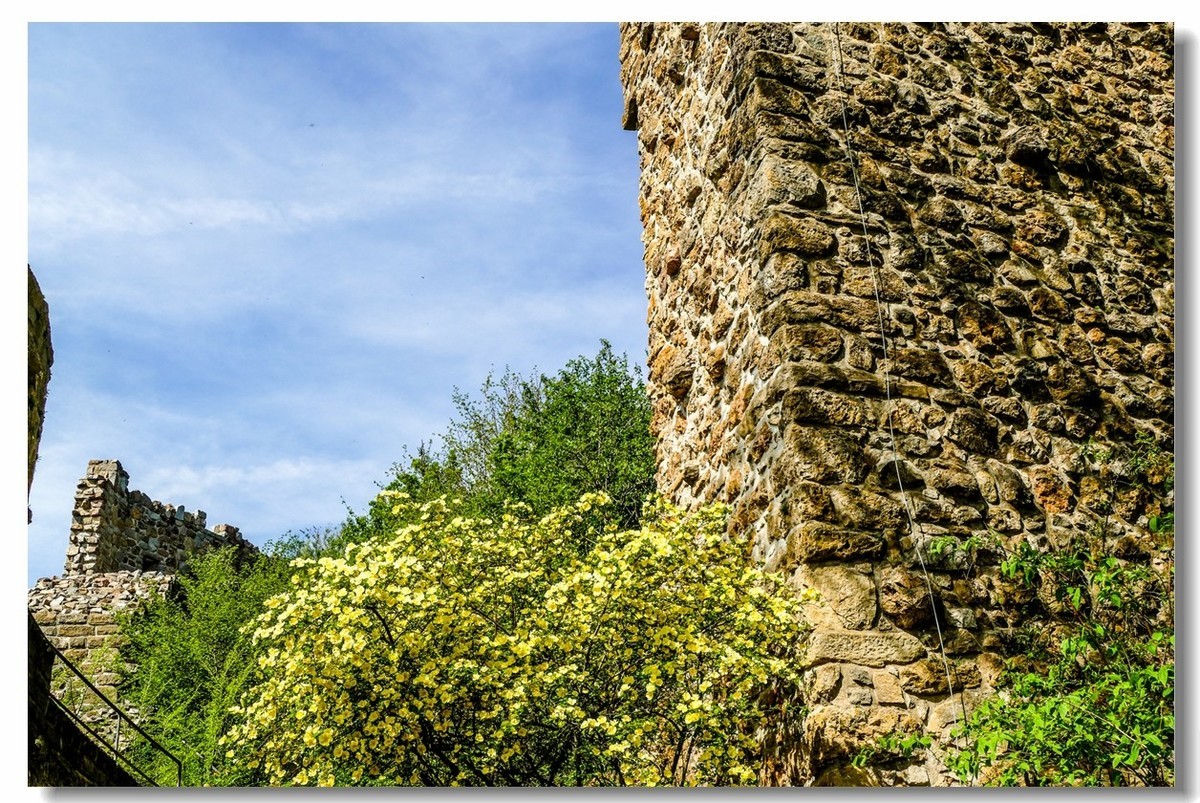 泉城--“Badenweiler”（南德）