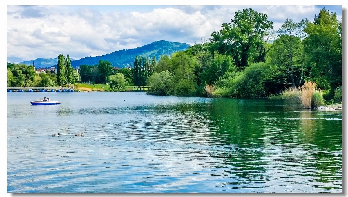 湖景春摄（德国弗莱堡）