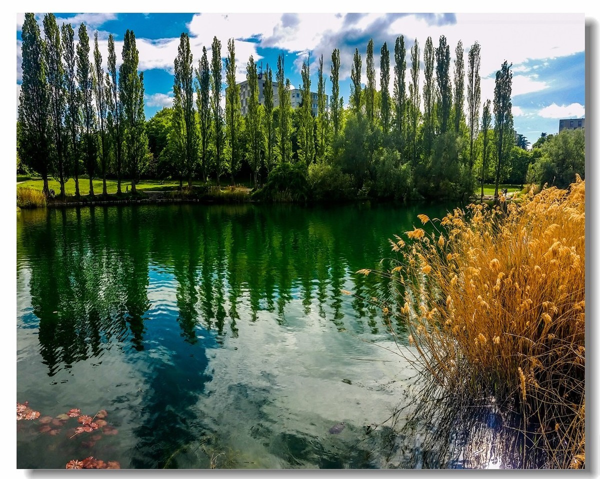 湖景春摄（德国弗莱堡）