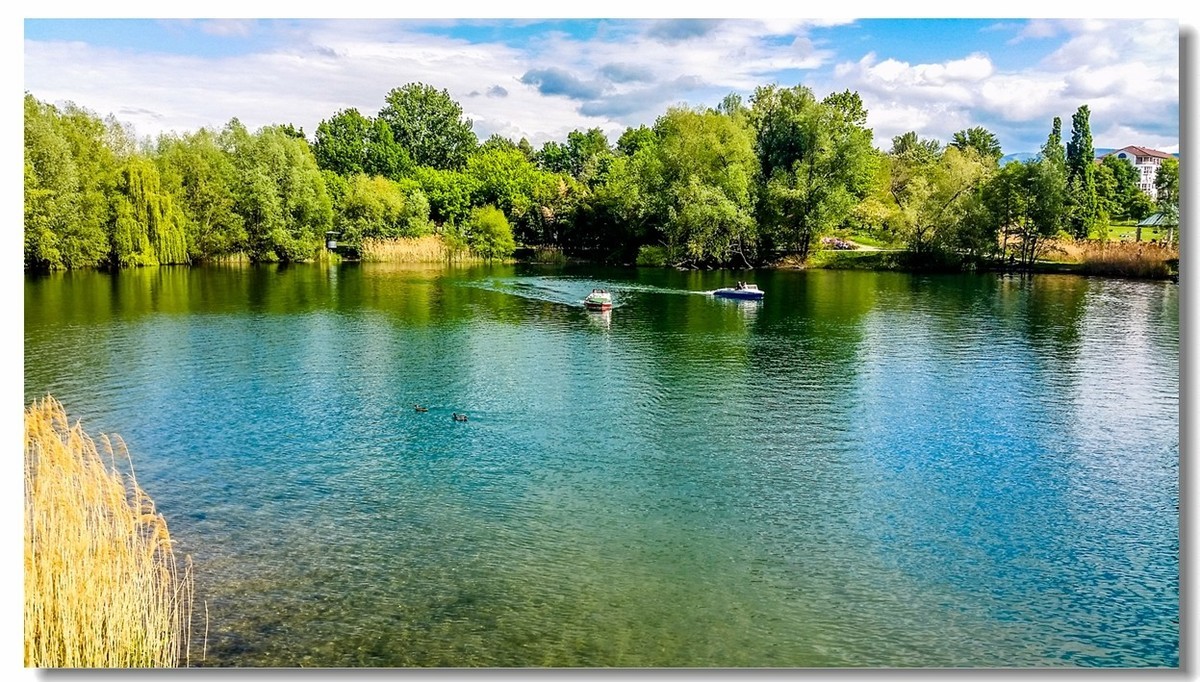 湖景春摄（德国弗莱堡）