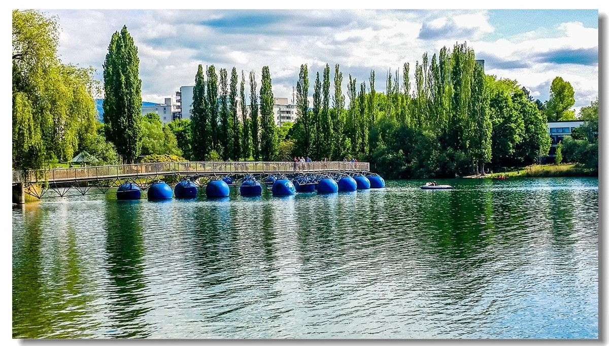 湖景春摄（德国弗莱堡）