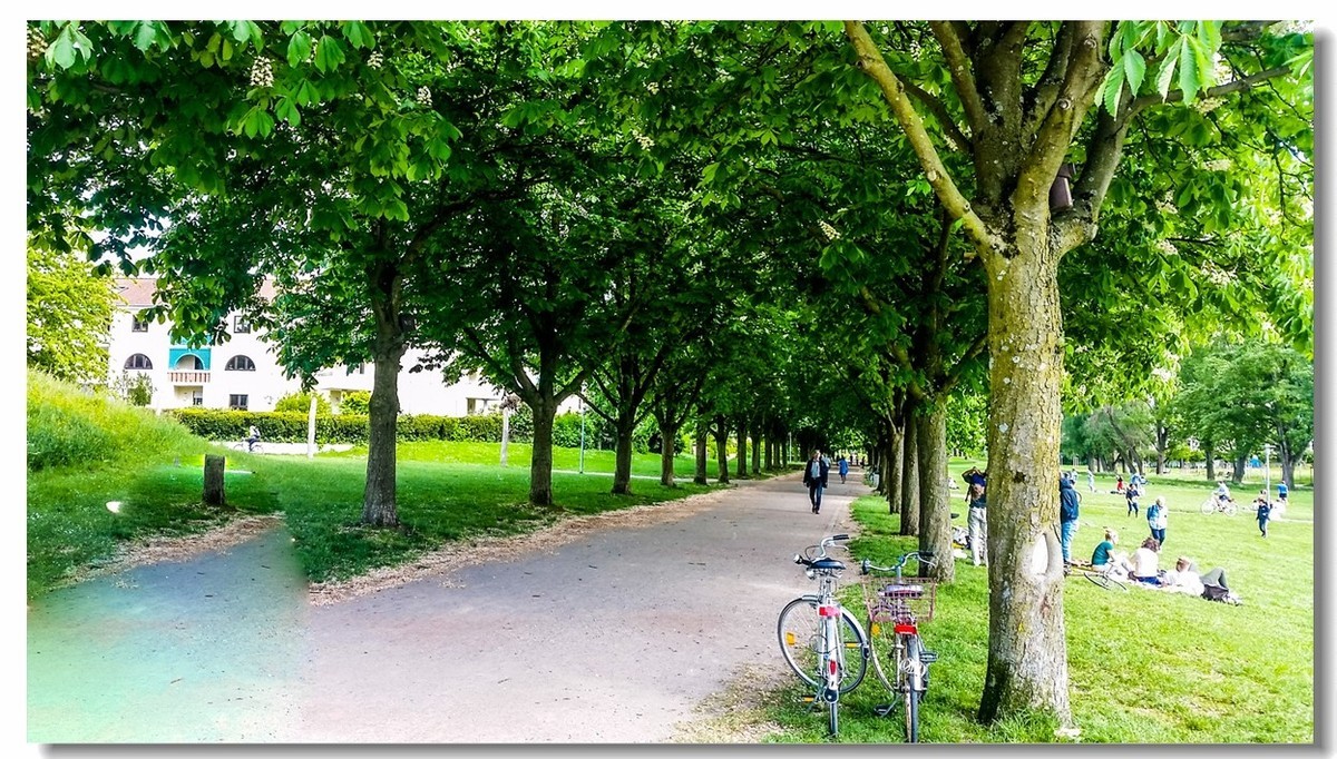 湖景春摄（德国弗莱堡）