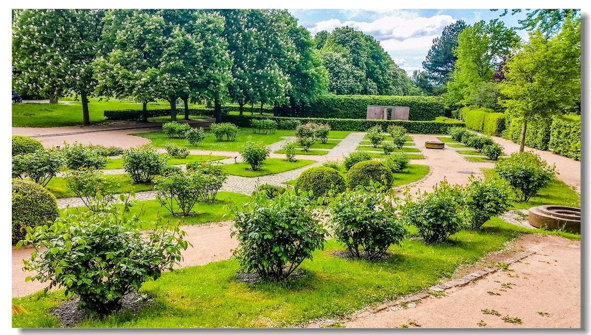 湖景春摄（德国弗莱堡）