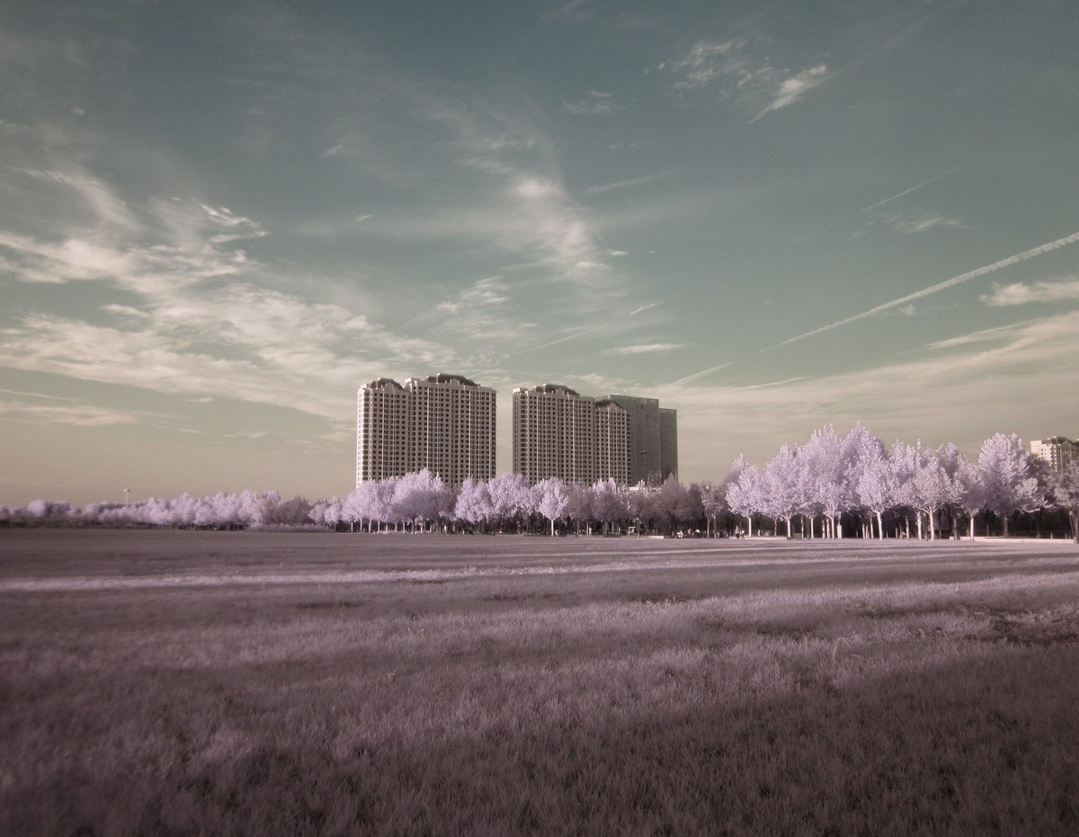几张红外
