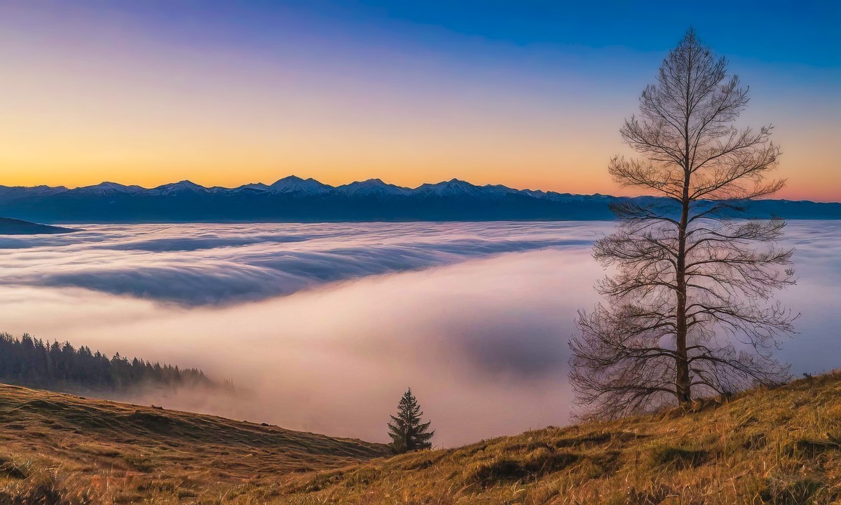 心灵的宁静与释然