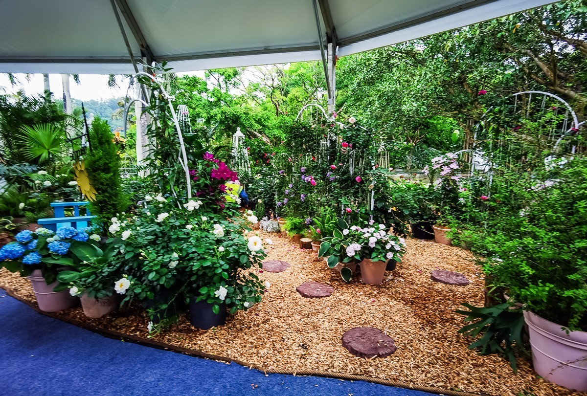 深圳仙湖植物园掠影