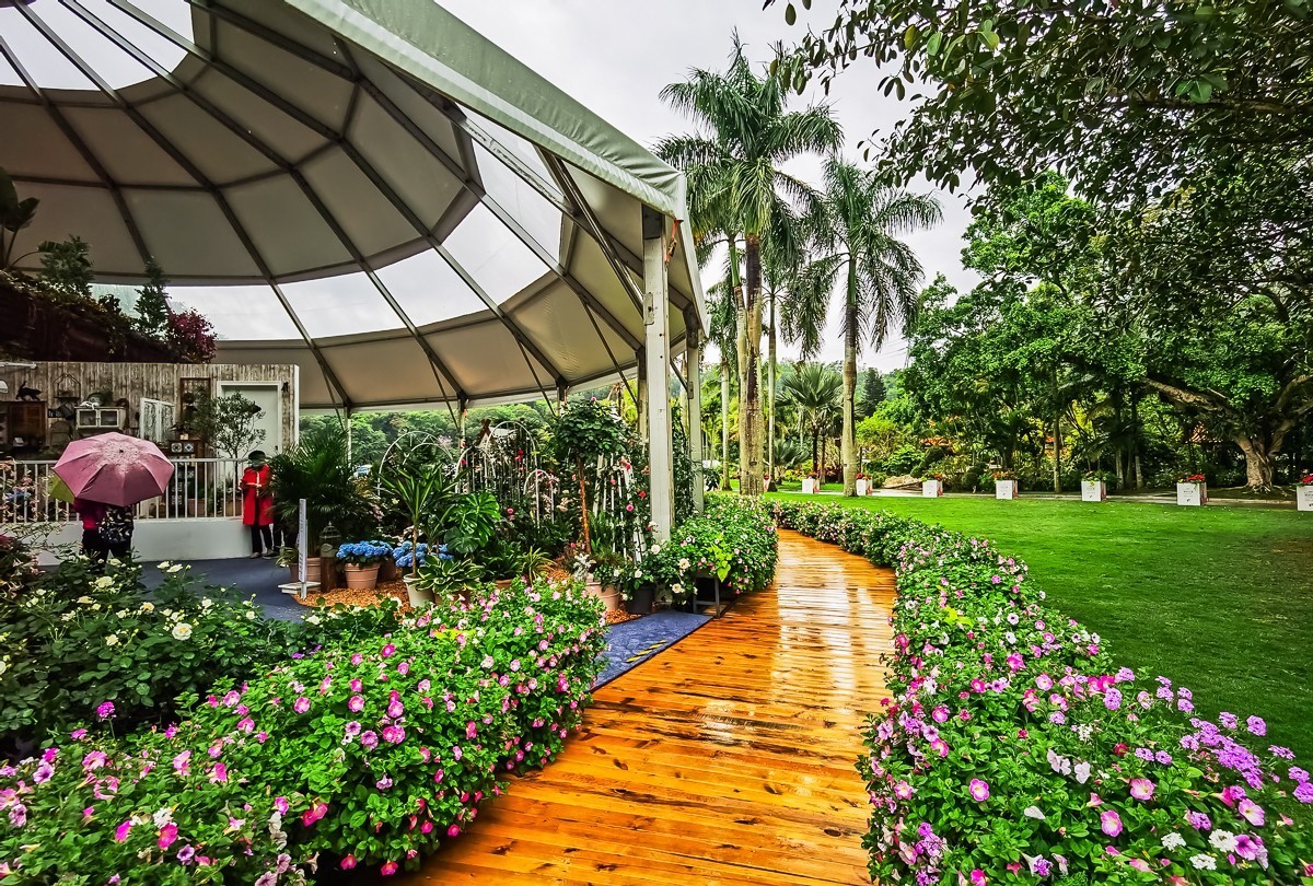 深圳仙湖植物园掠影