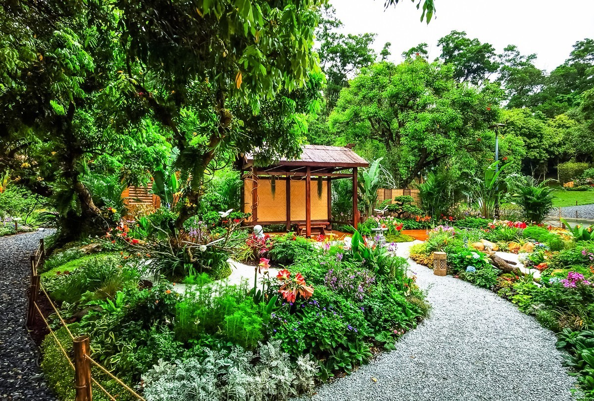 深圳仙湖植物园掠影