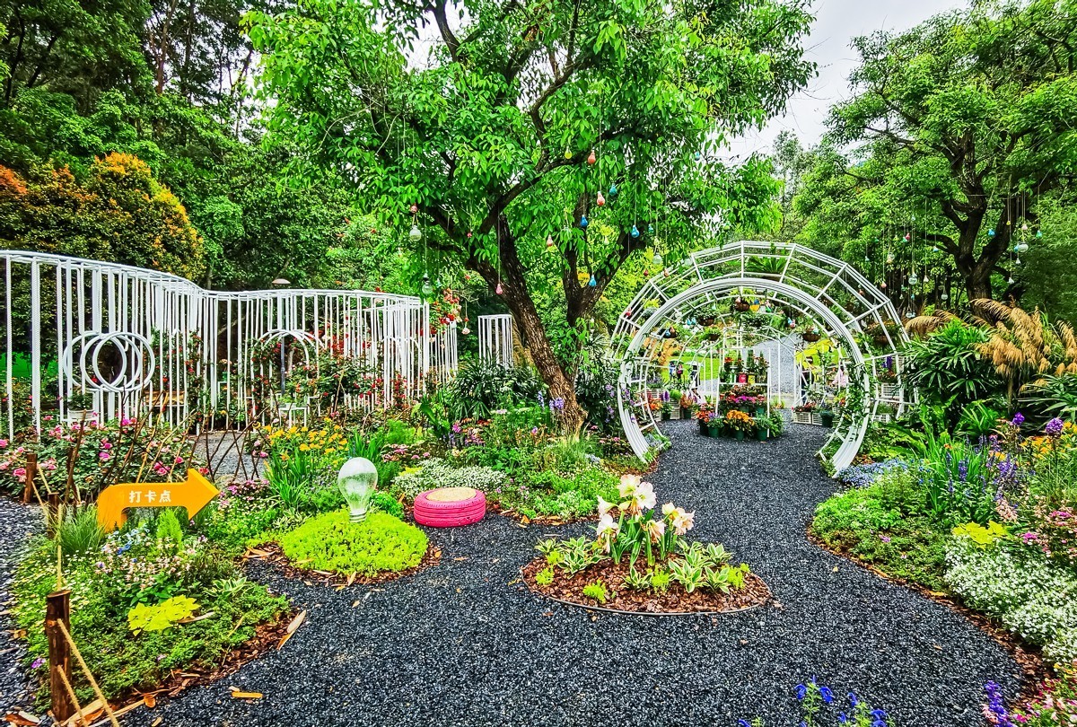 深圳仙湖植物园掠影