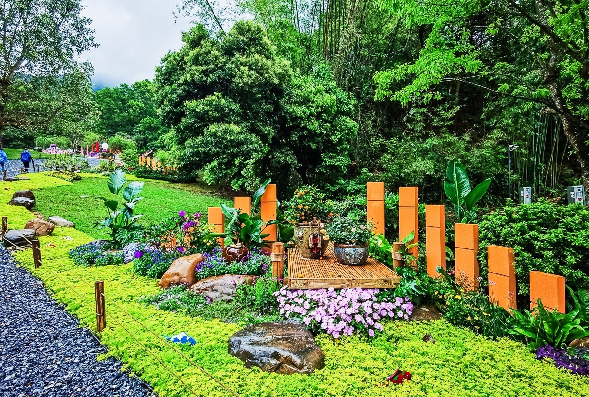 深圳仙湖植物园掠影