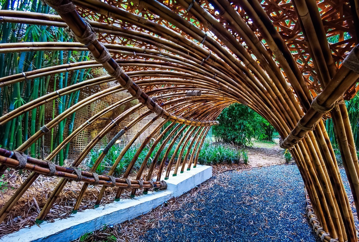 深圳仙湖植物园掠影