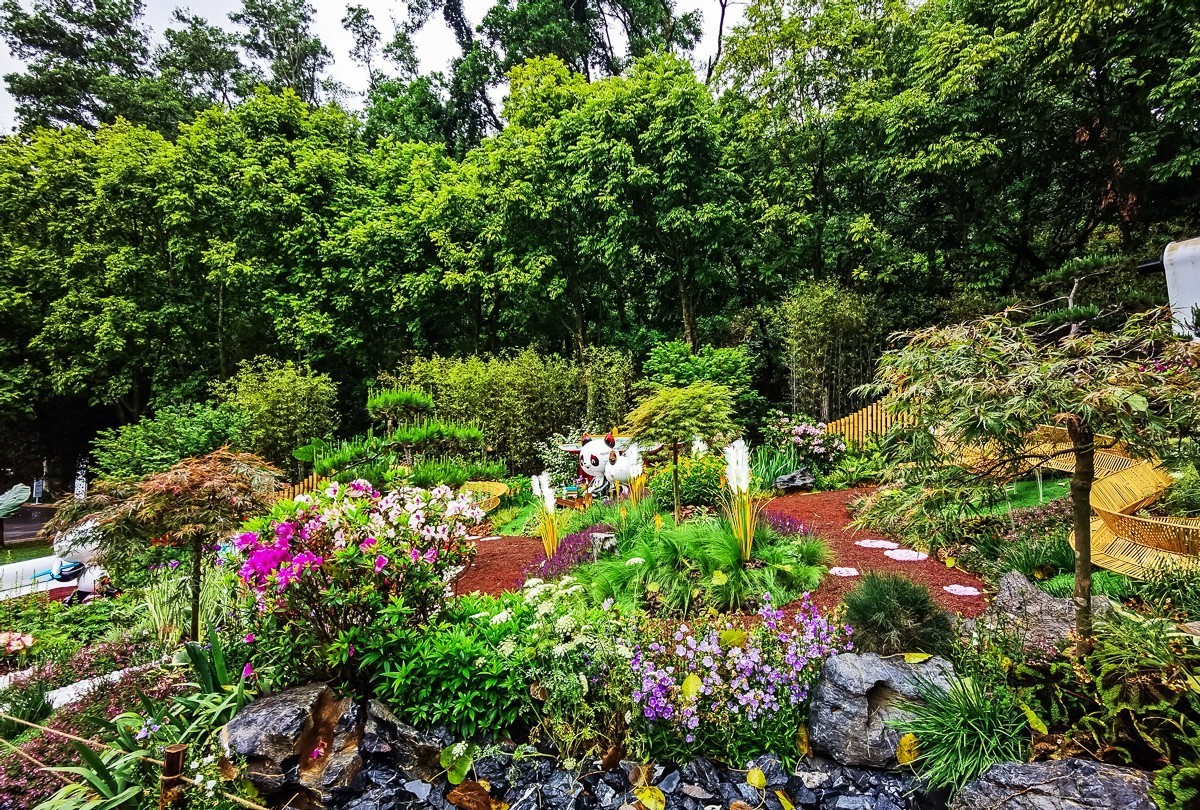 深圳仙湖植物园掠影