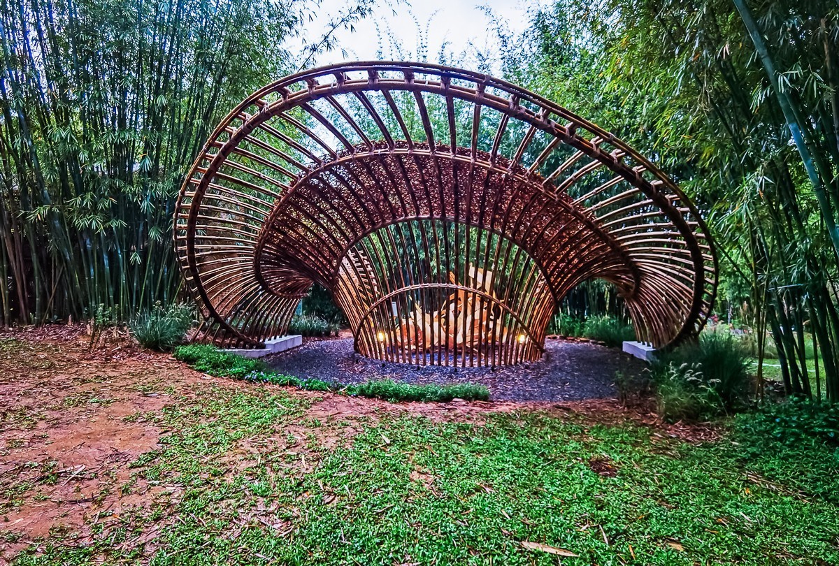 深圳仙湖植物园掠影