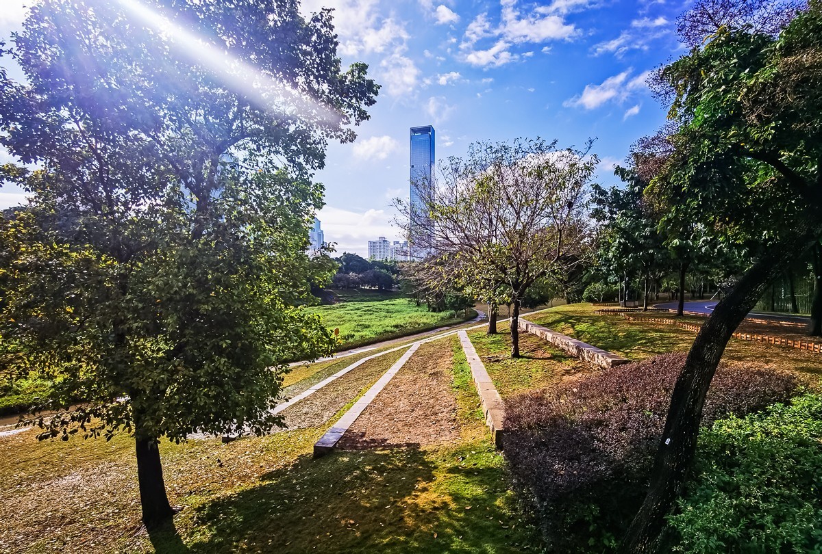 深圳中心公园掠影