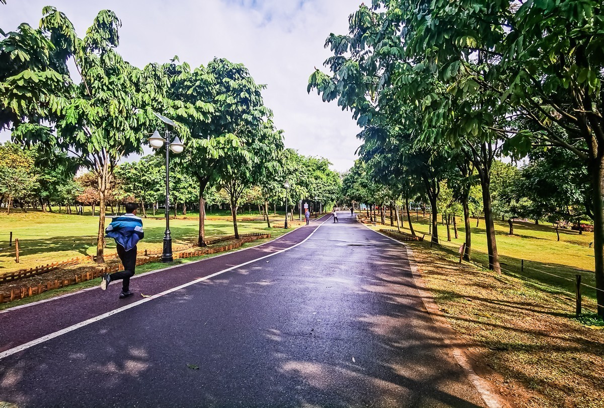 深圳中心公园掠影