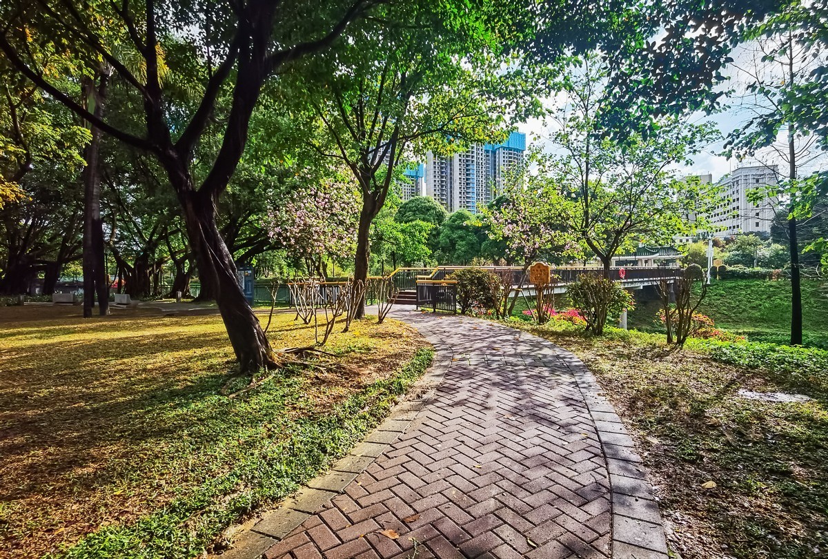 深圳中心公园掠影