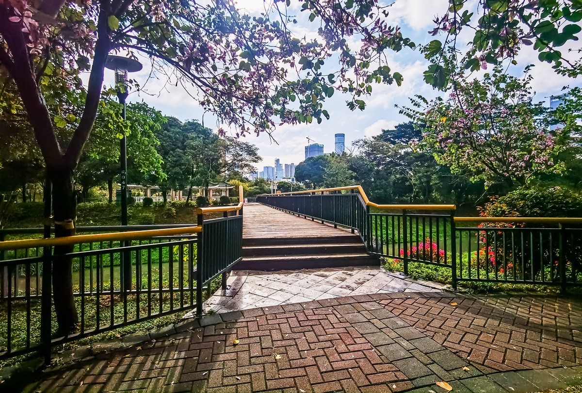 深圳中心公园掠影