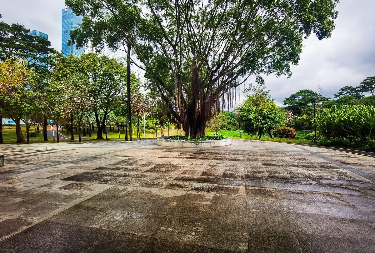 深圳中心公园掠影