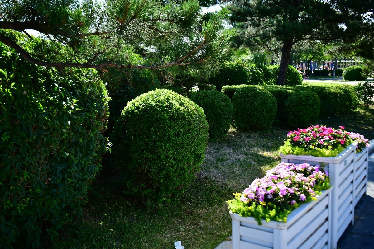 周日骑行随手拍