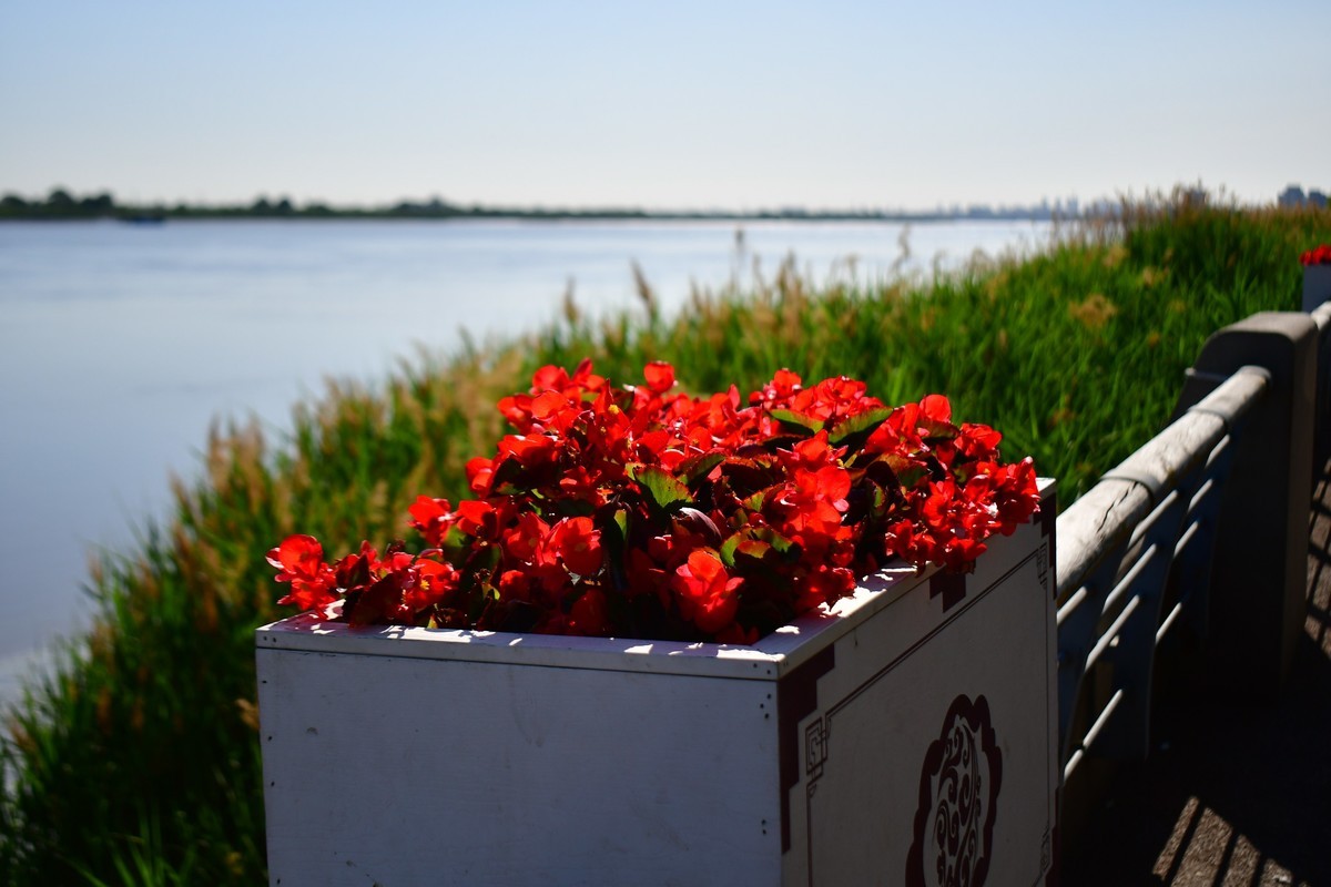 周日骑行随手拍