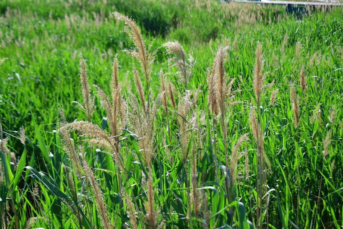 周日骑行随手拍