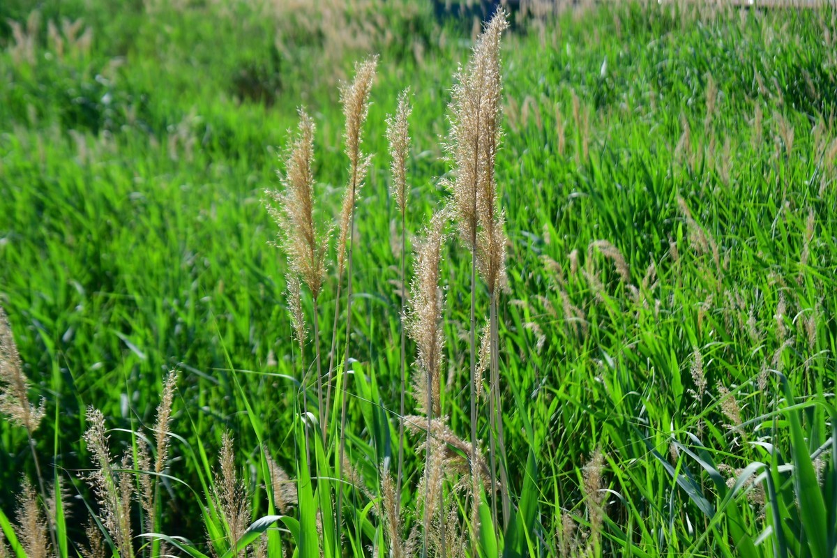 周日骑行随手拍