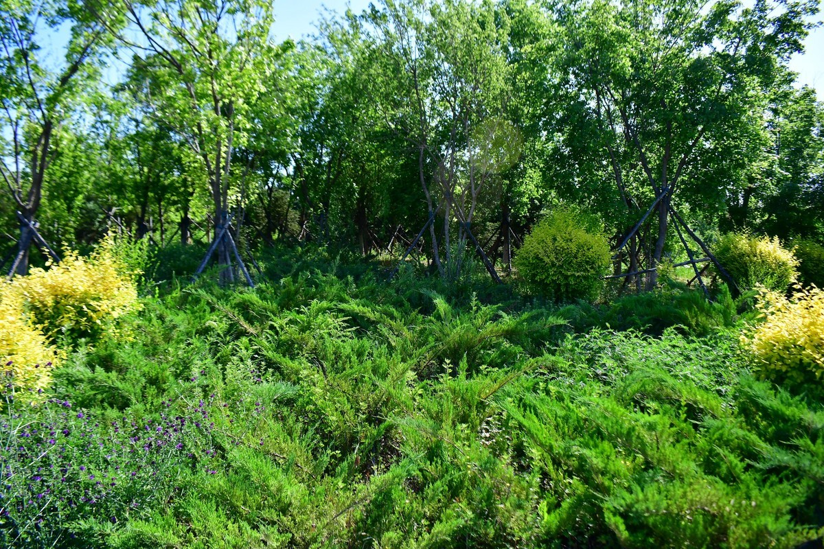 周日骑行随手拍