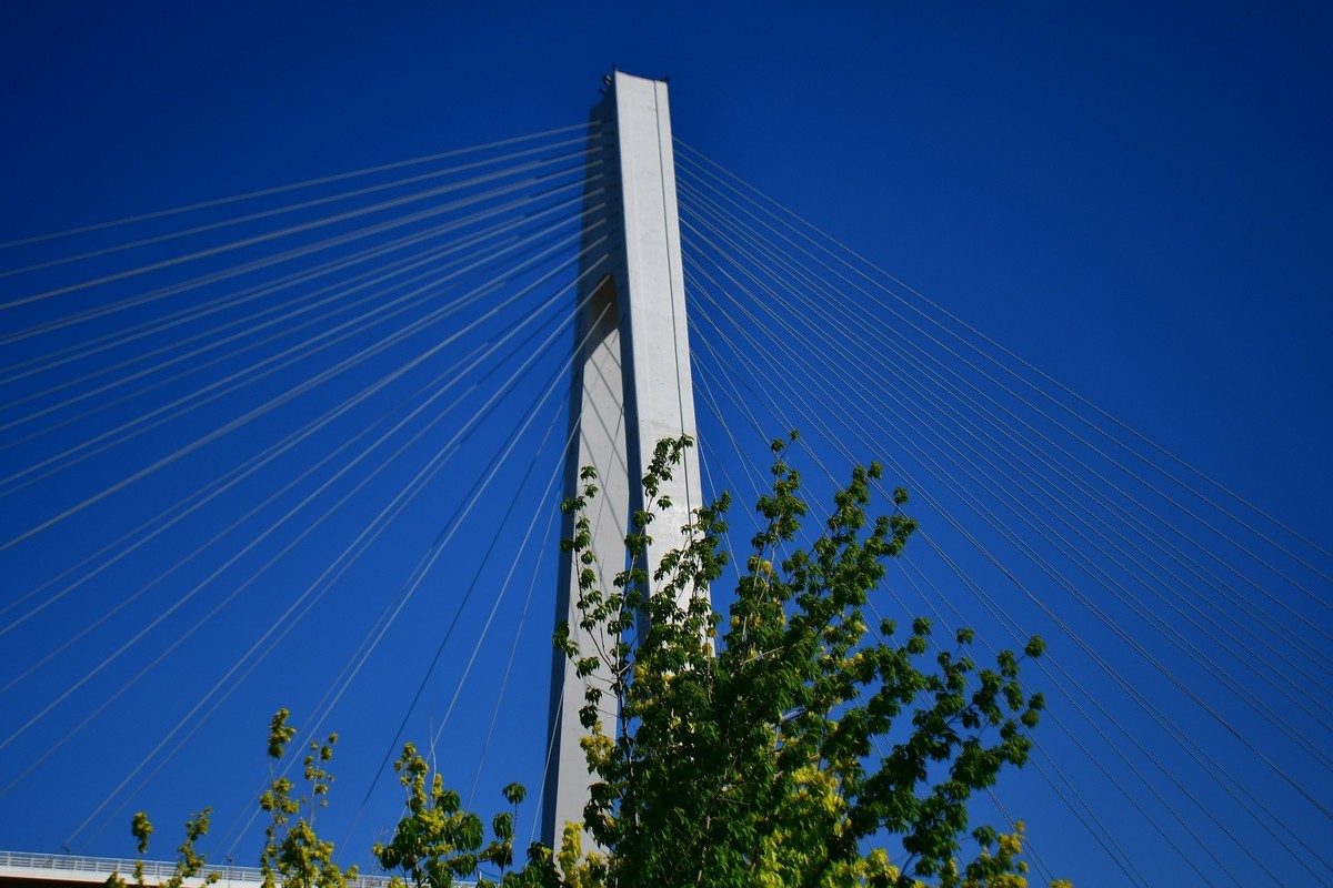 周日骑行随手拍