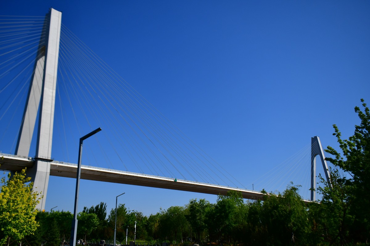 周日骑行随手拍