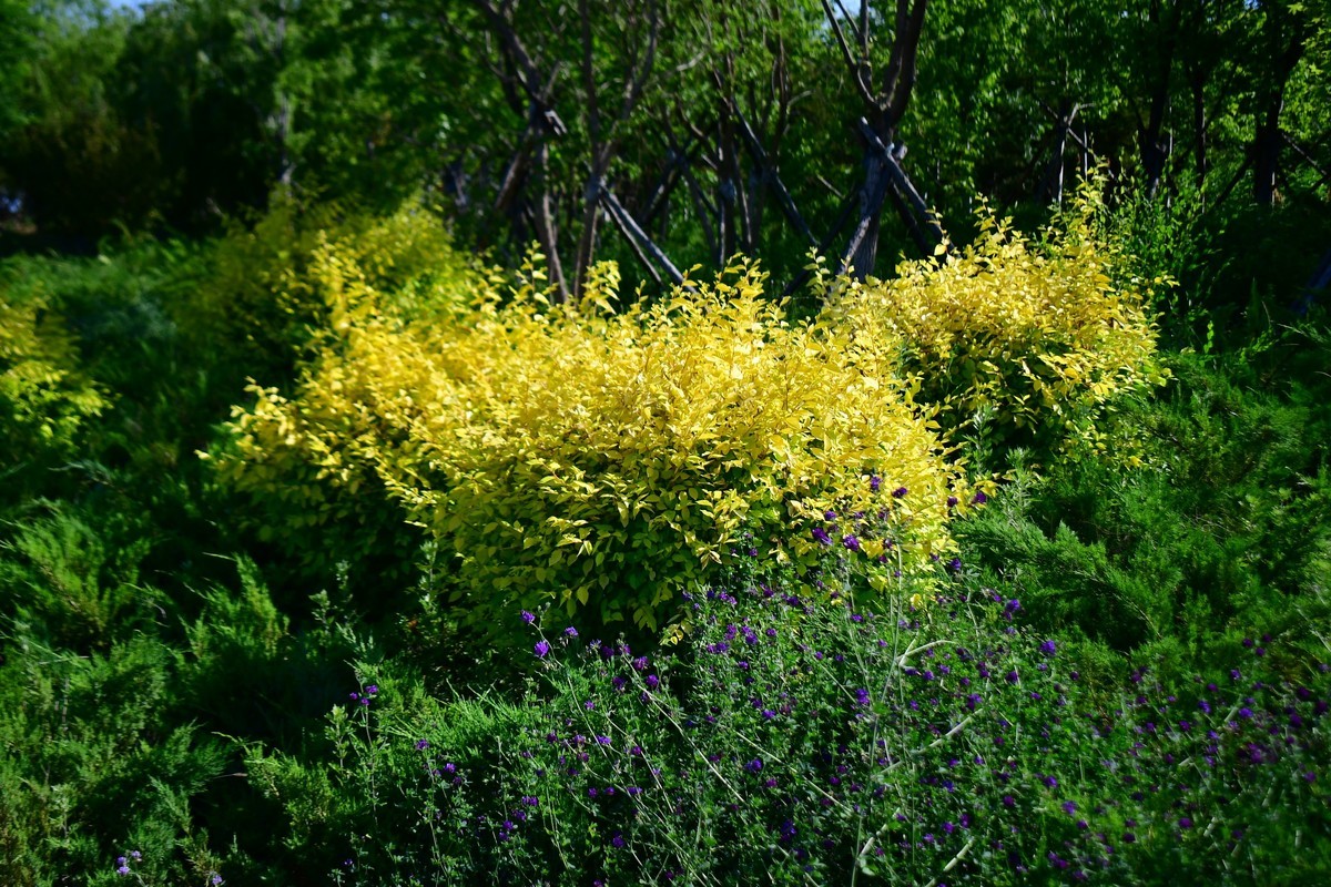 周日骑行随手拍