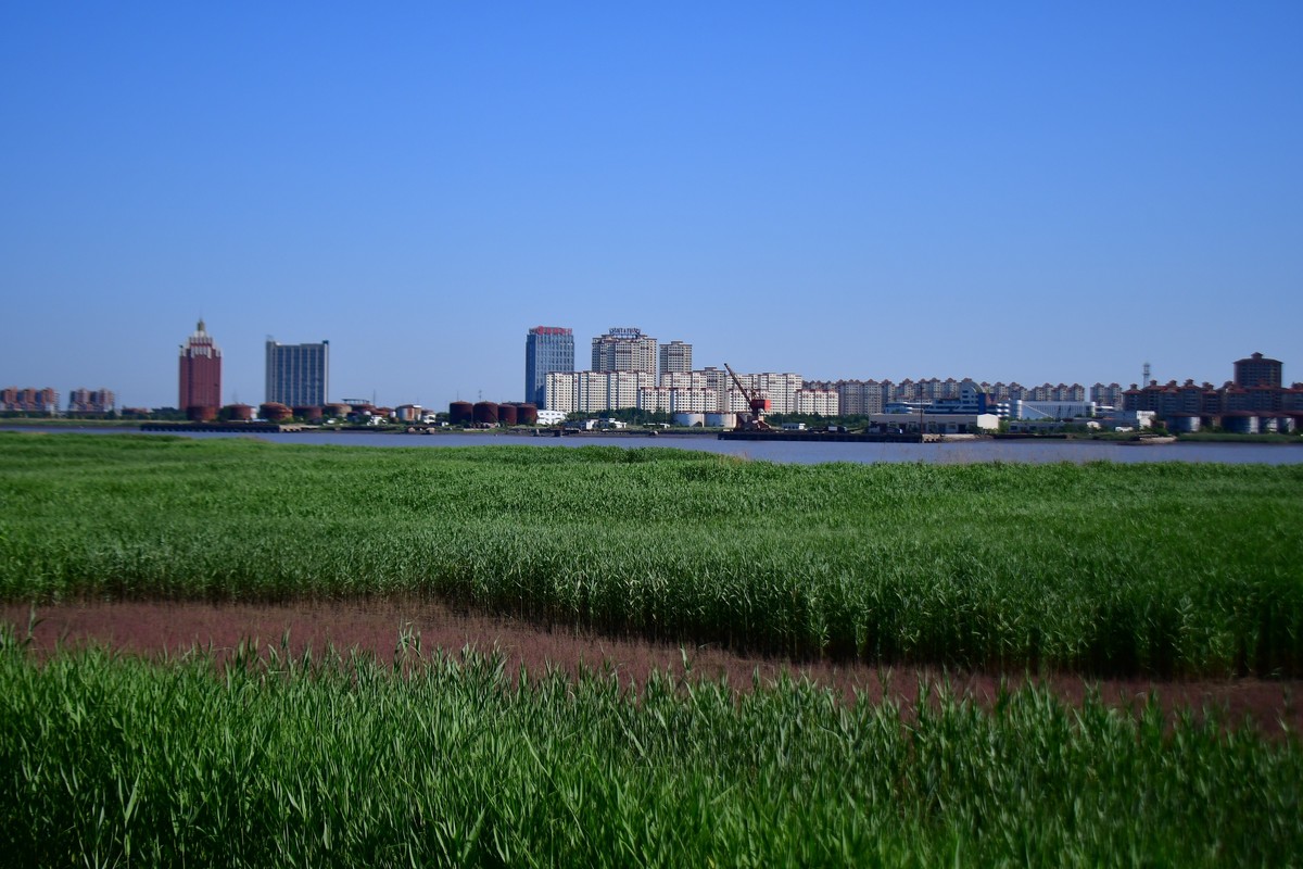 周日骑行随手拍