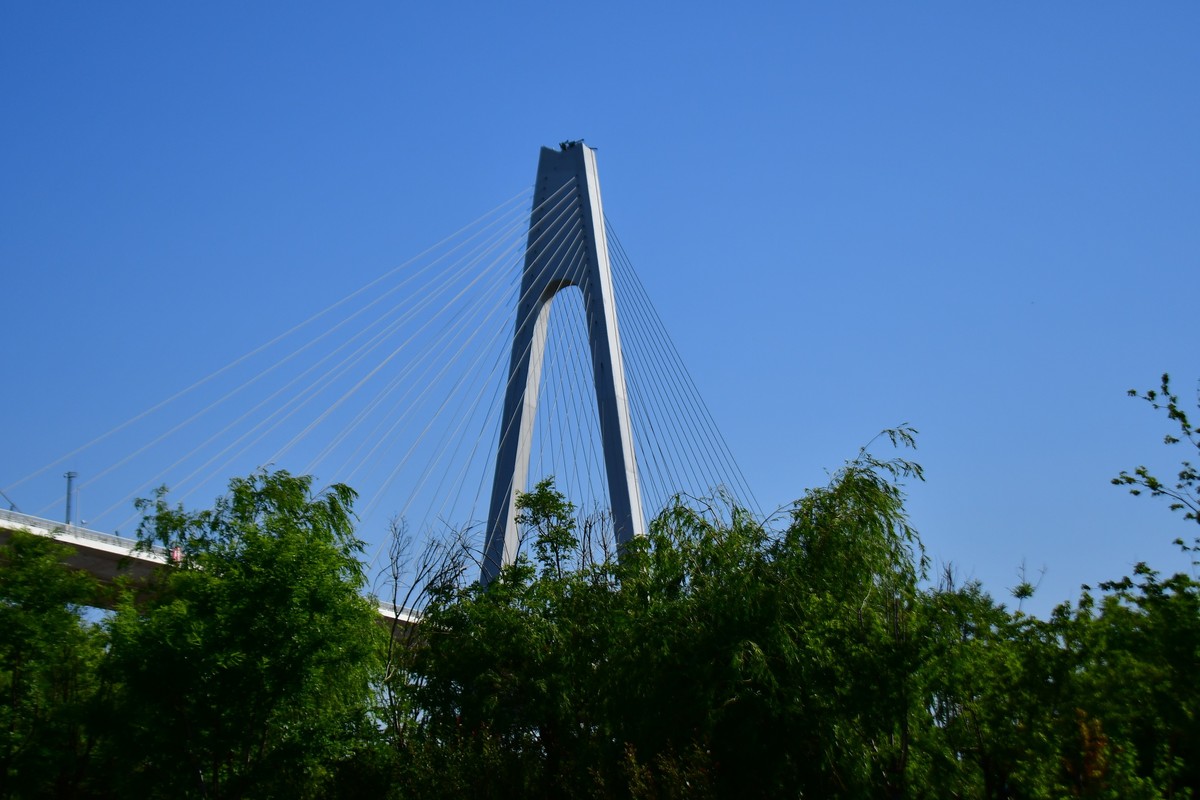 周日骑行随手拍