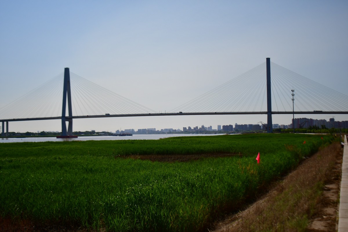 周日骑行随手拍