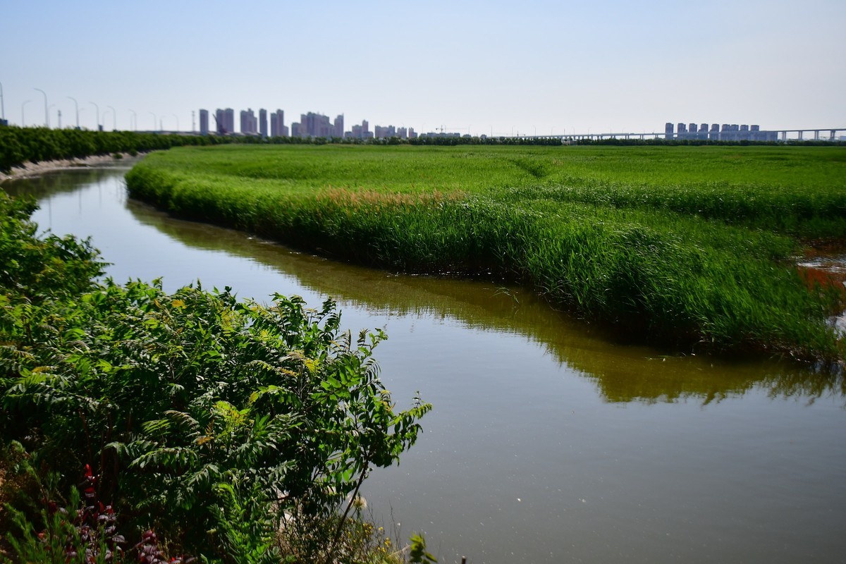 周日骑行随手拍