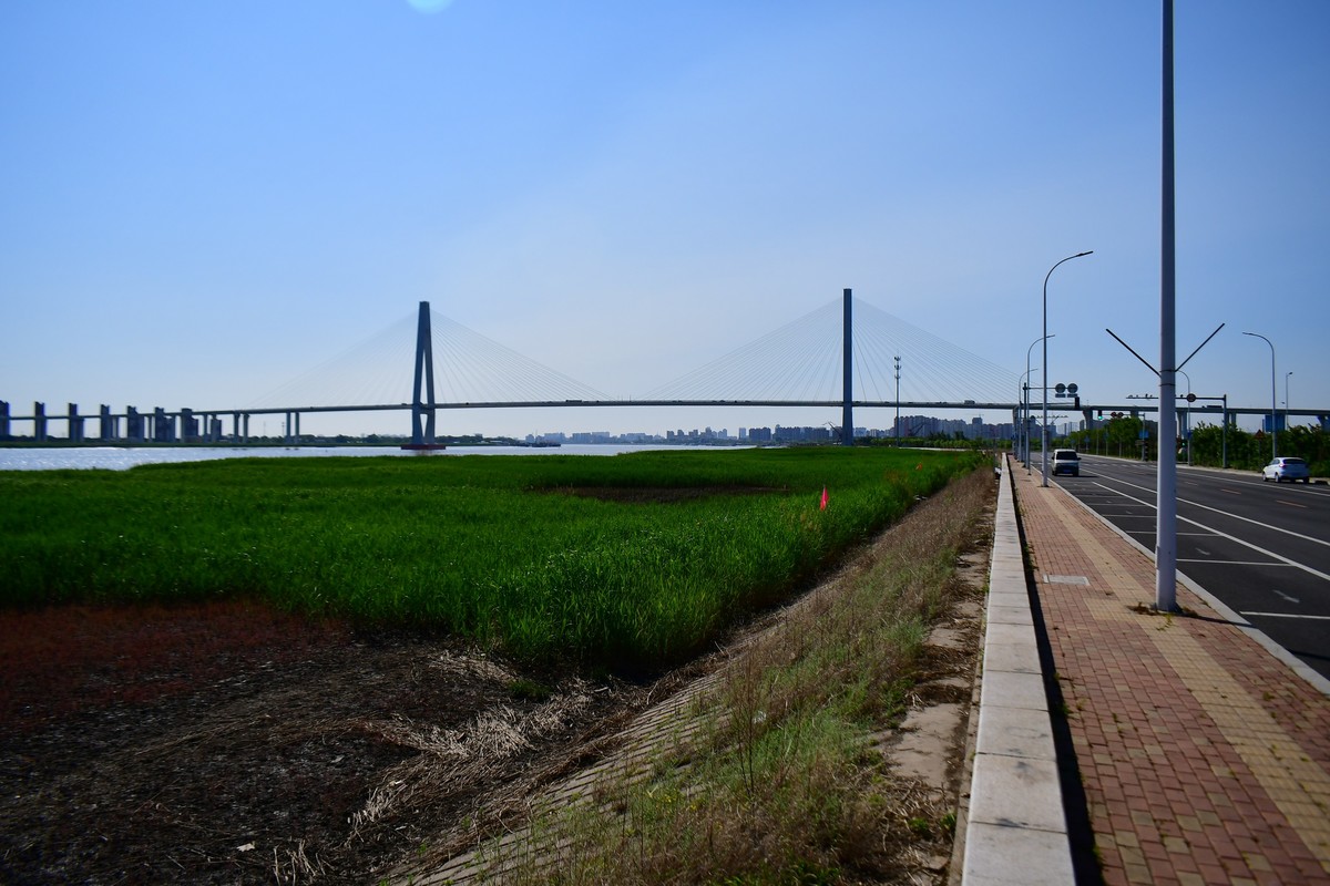 周日骑行随手拍