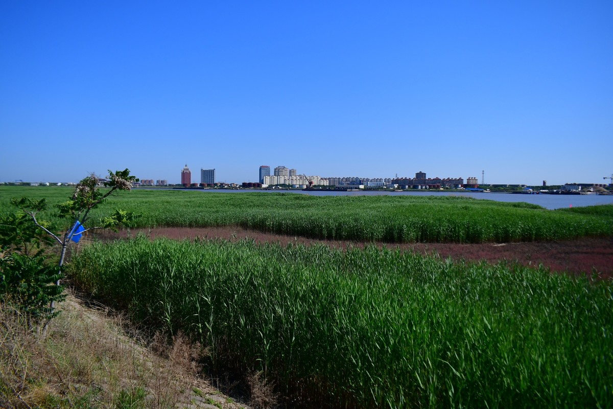 周日骑行随手拍