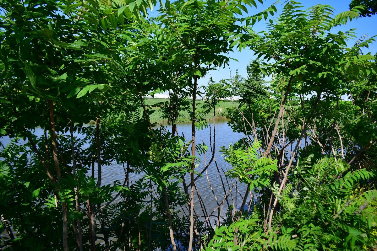 周日骑行随手拍