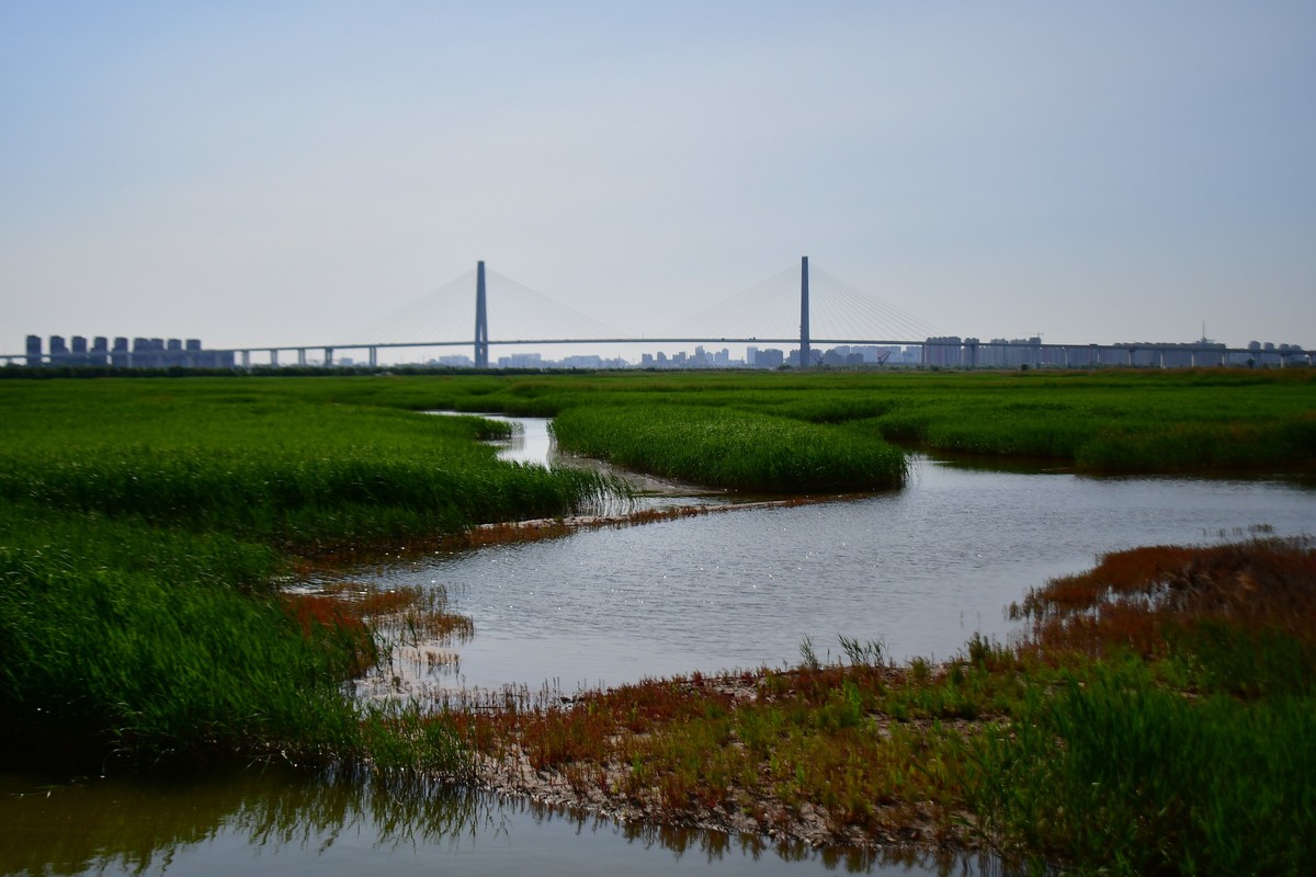 周日骑行随手拍