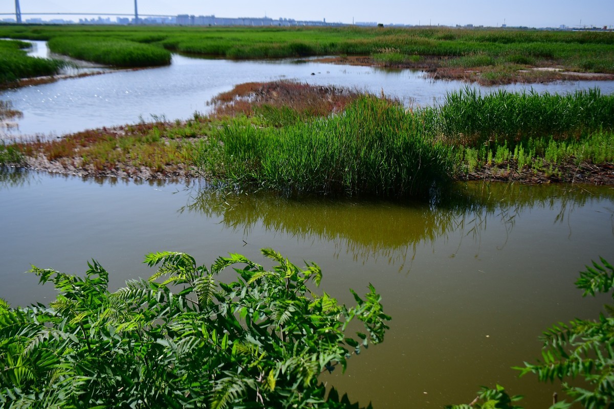 周日骑行随手拍