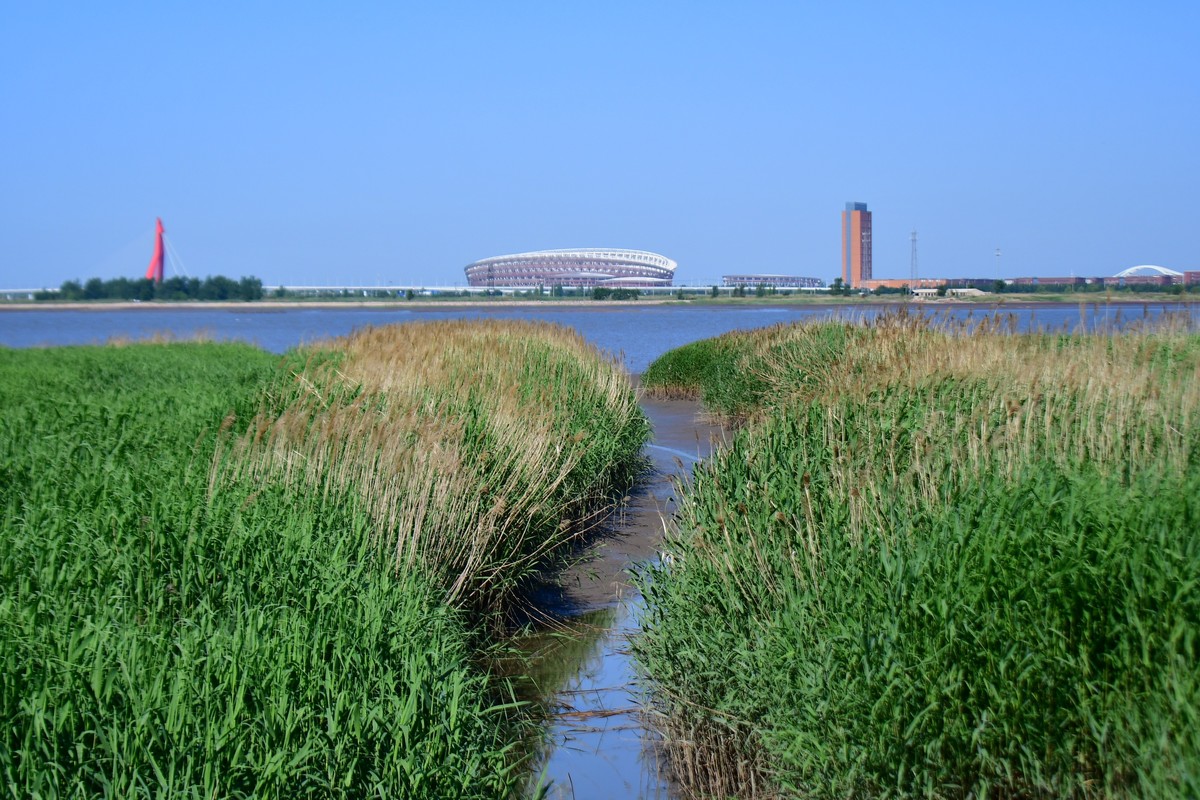 周日骑行随手拍