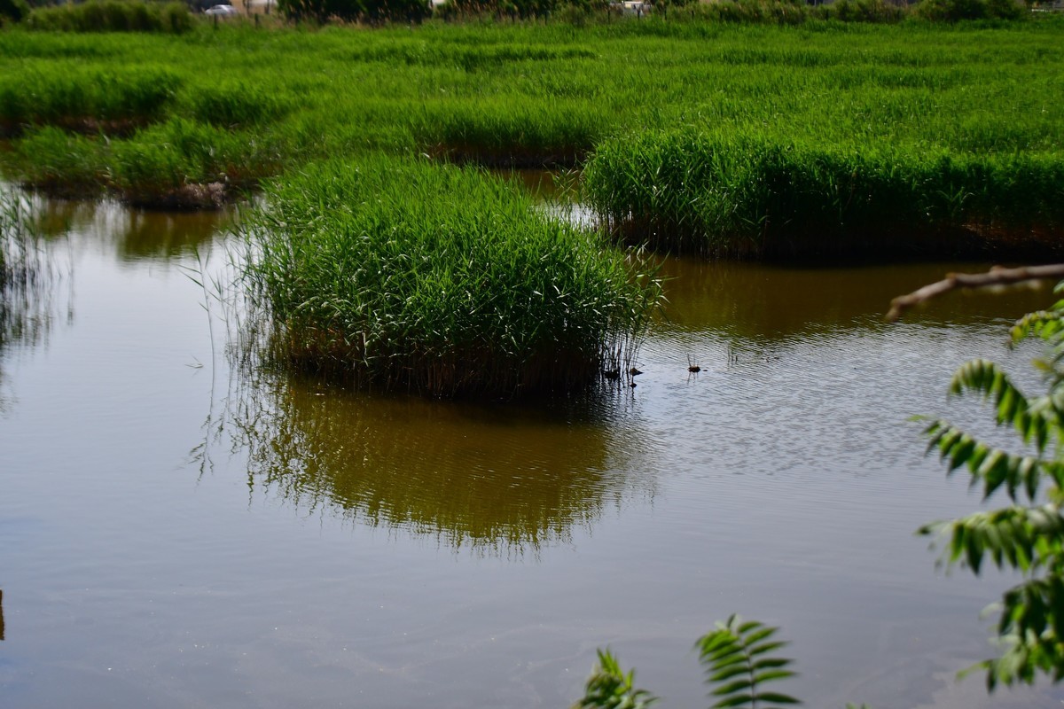 周日骑行随手拍