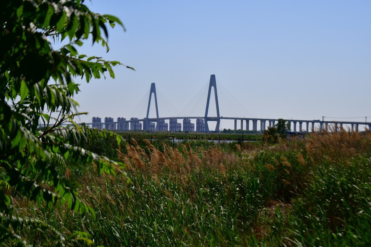 周日骑行随手拍