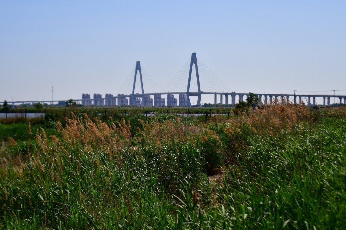 周日骑行随手拍